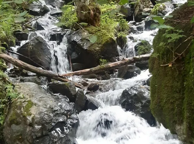 2 Bett Rose Appartamento